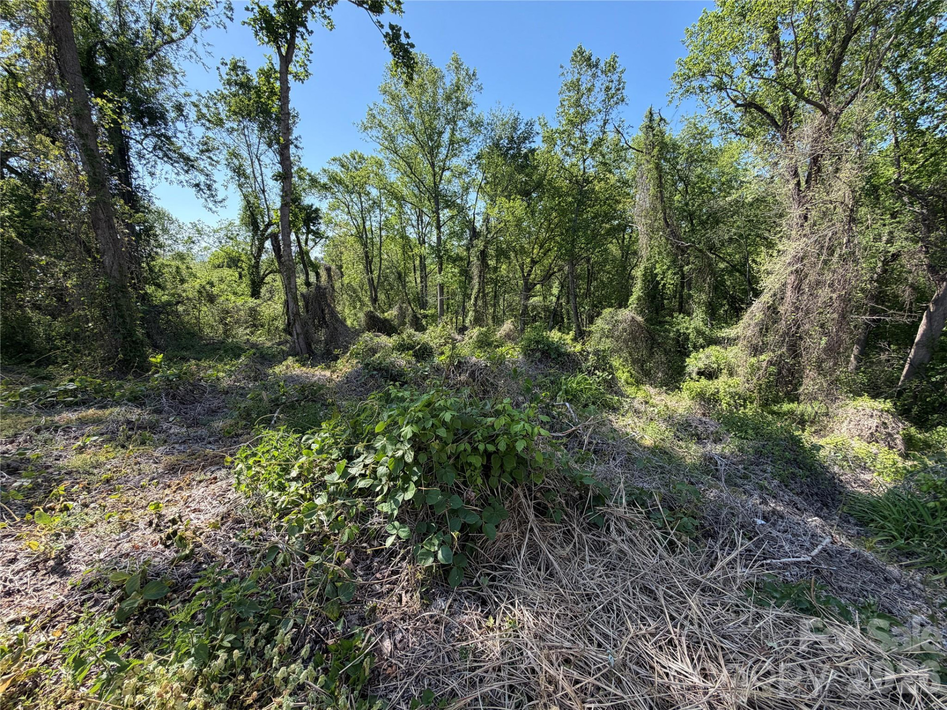 99999 Cross Place - Photo 8