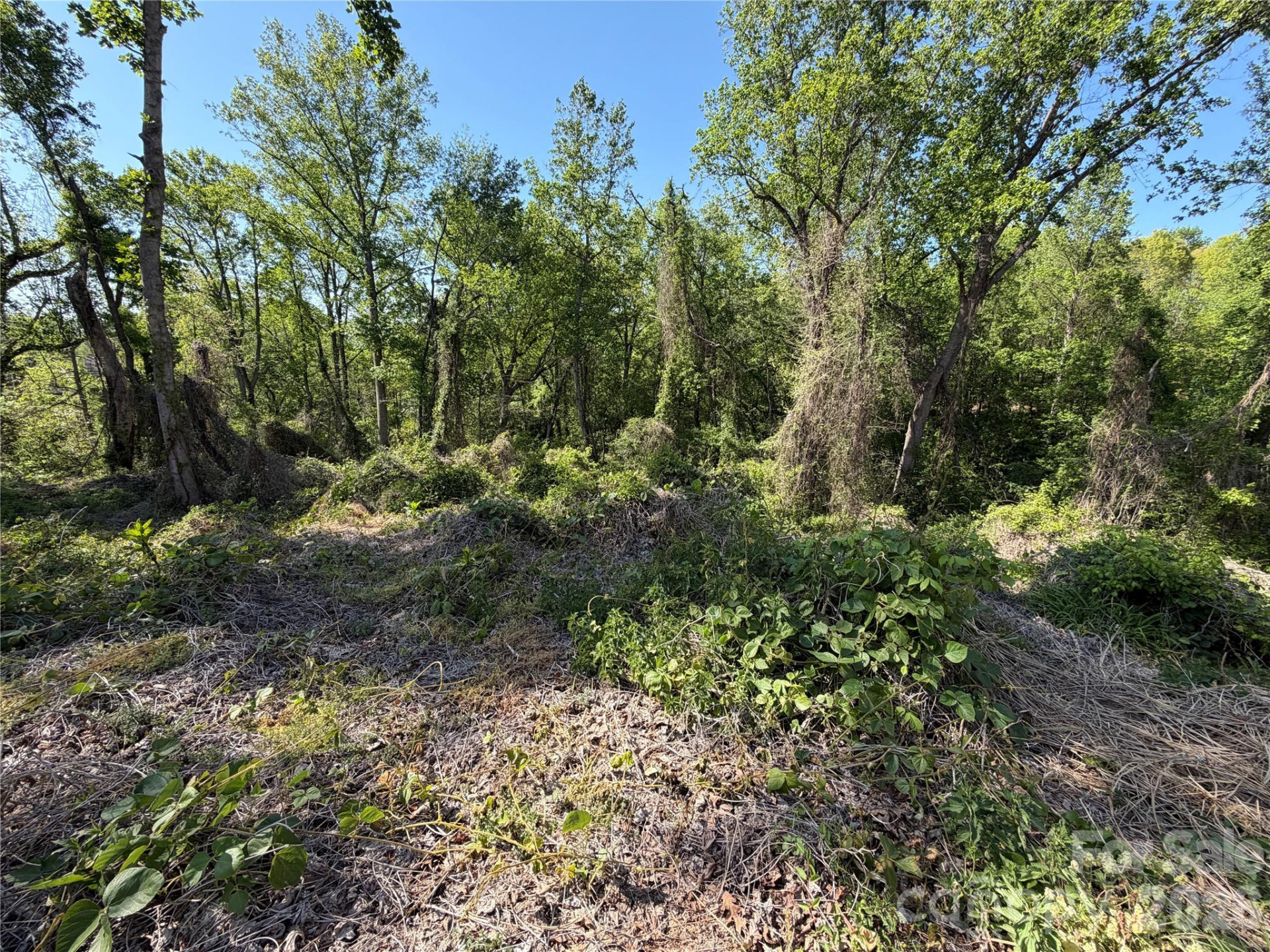 99999 Cross Place - Photo 9