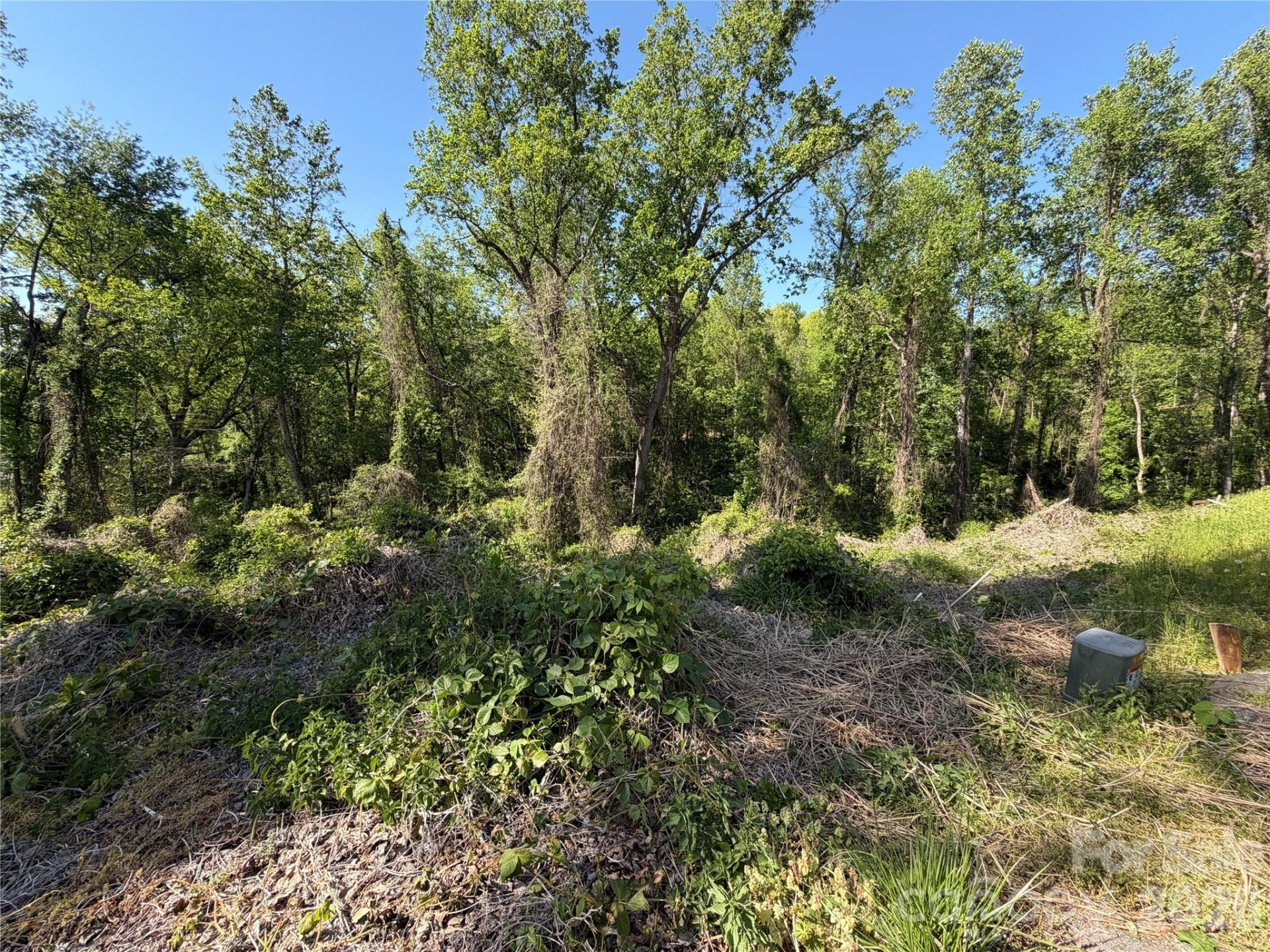 99999 Cross Place - Photo 10