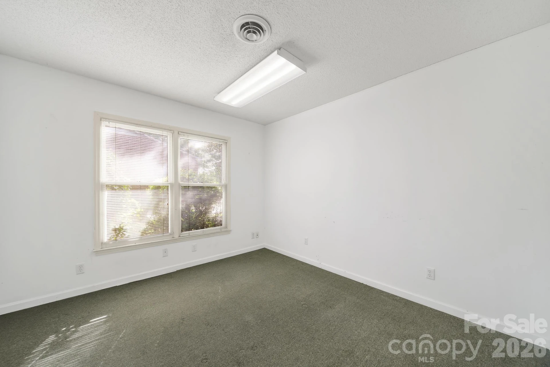 209 Barr Street - Photo 11