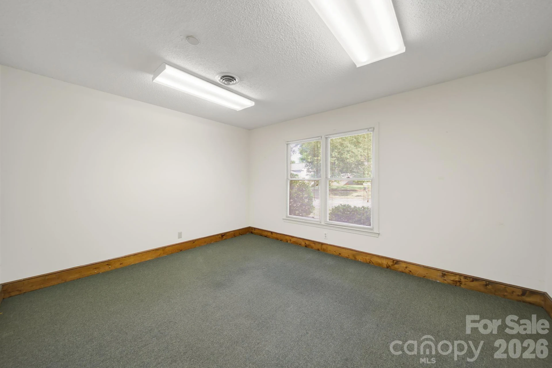 209 Barr Street - Photo 14