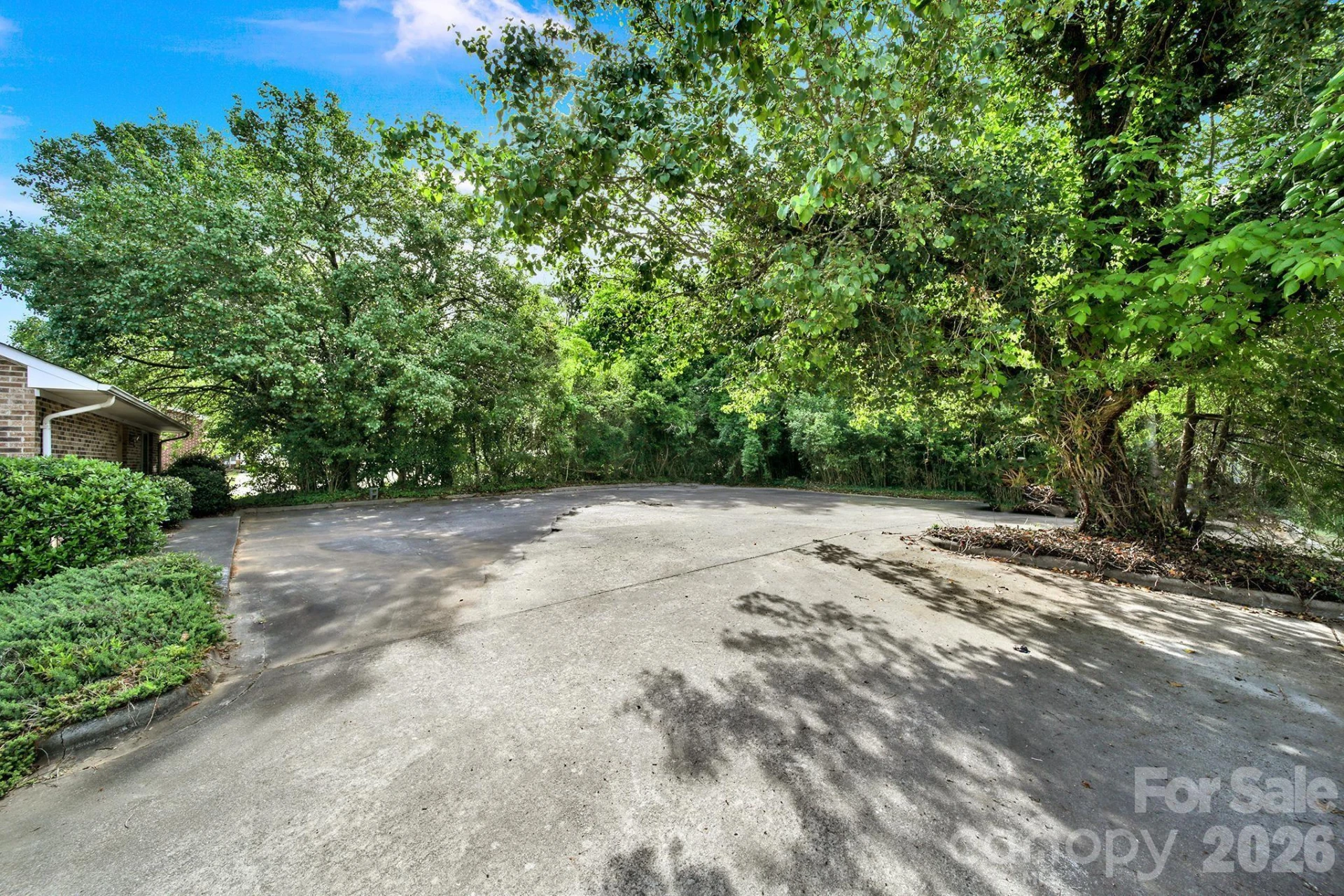209 Barr Street - Photo 5