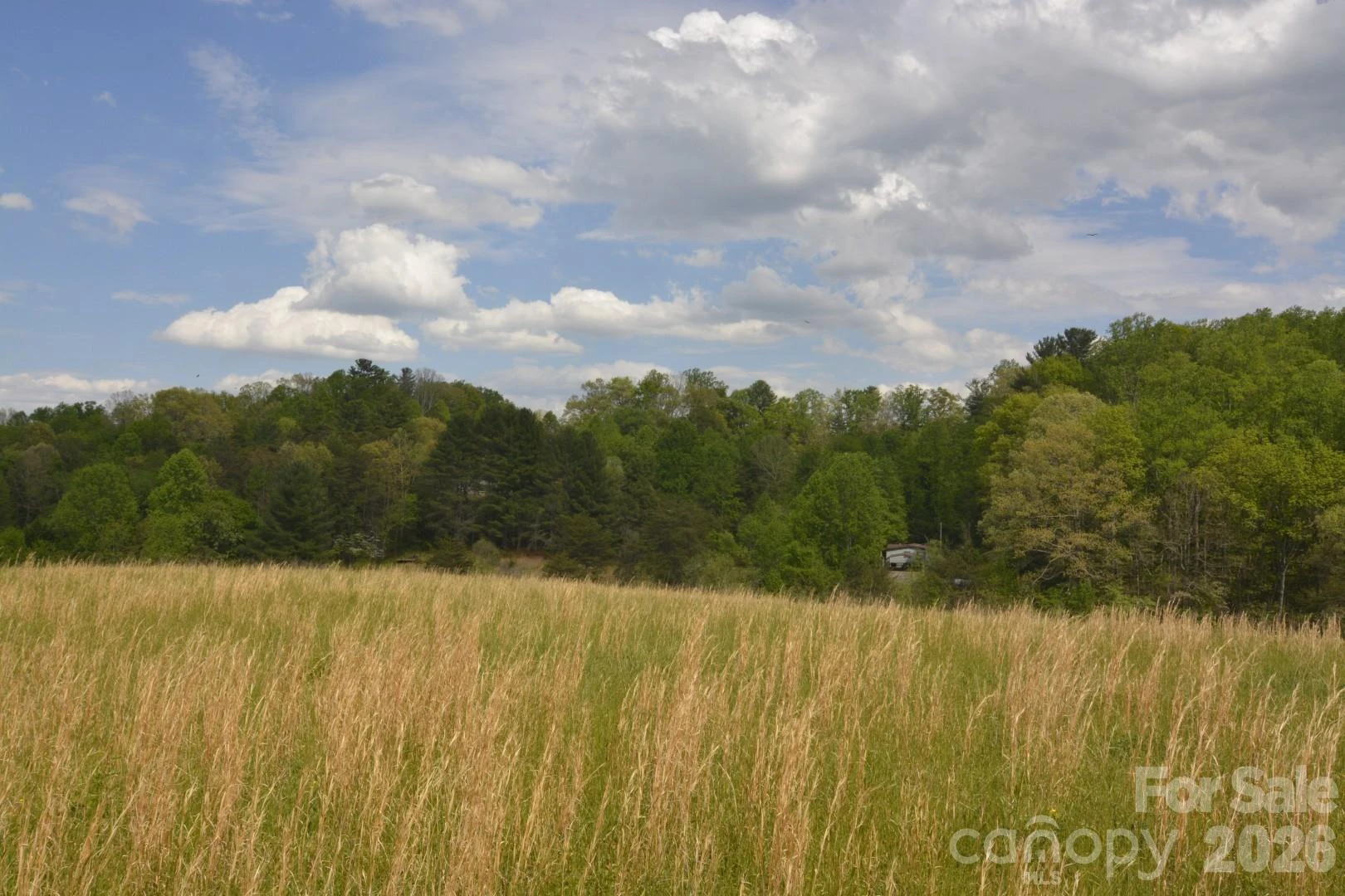 16 Rocking Chair Lane - Photo 19