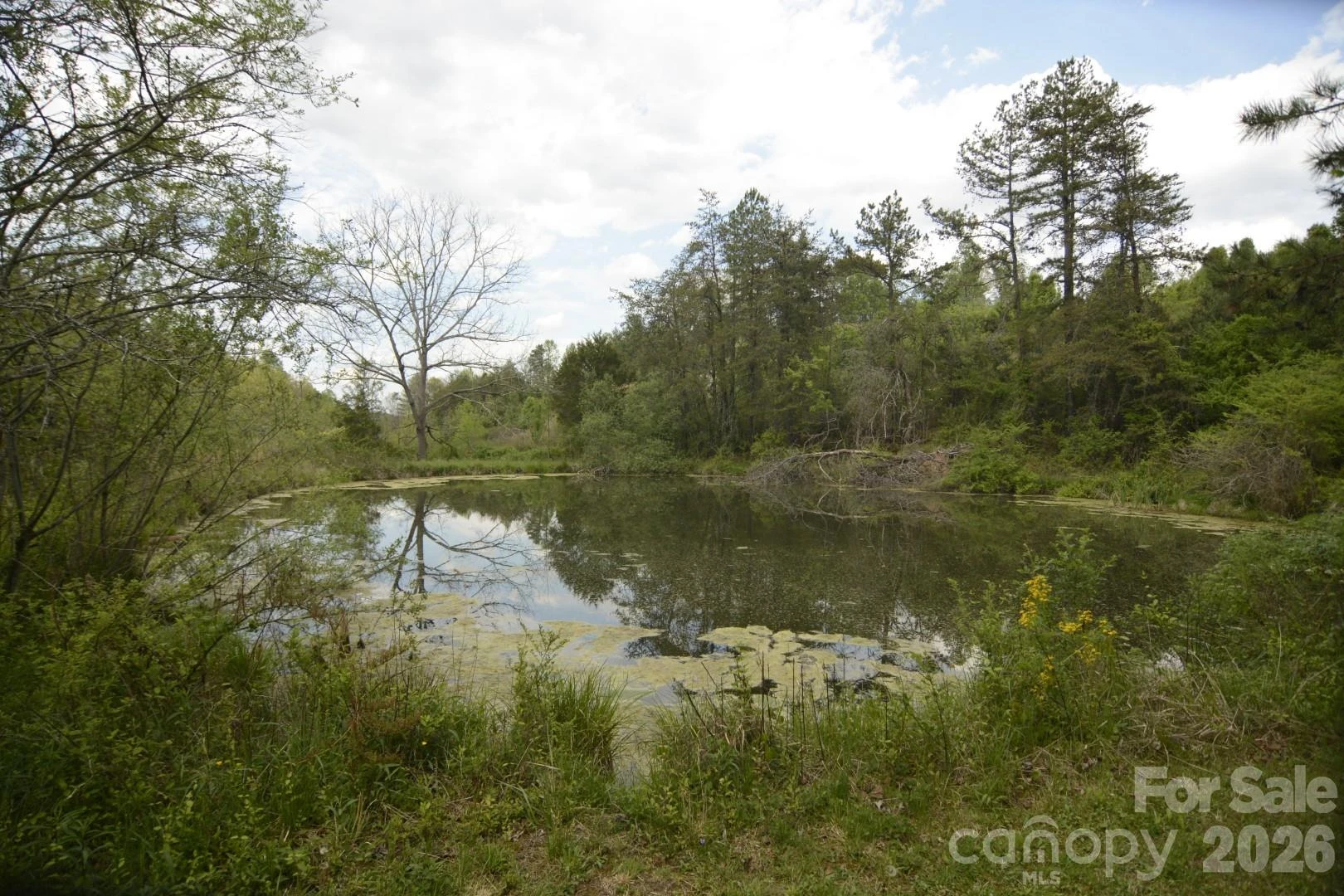 16 Rocking Chair Lane - Photo 4