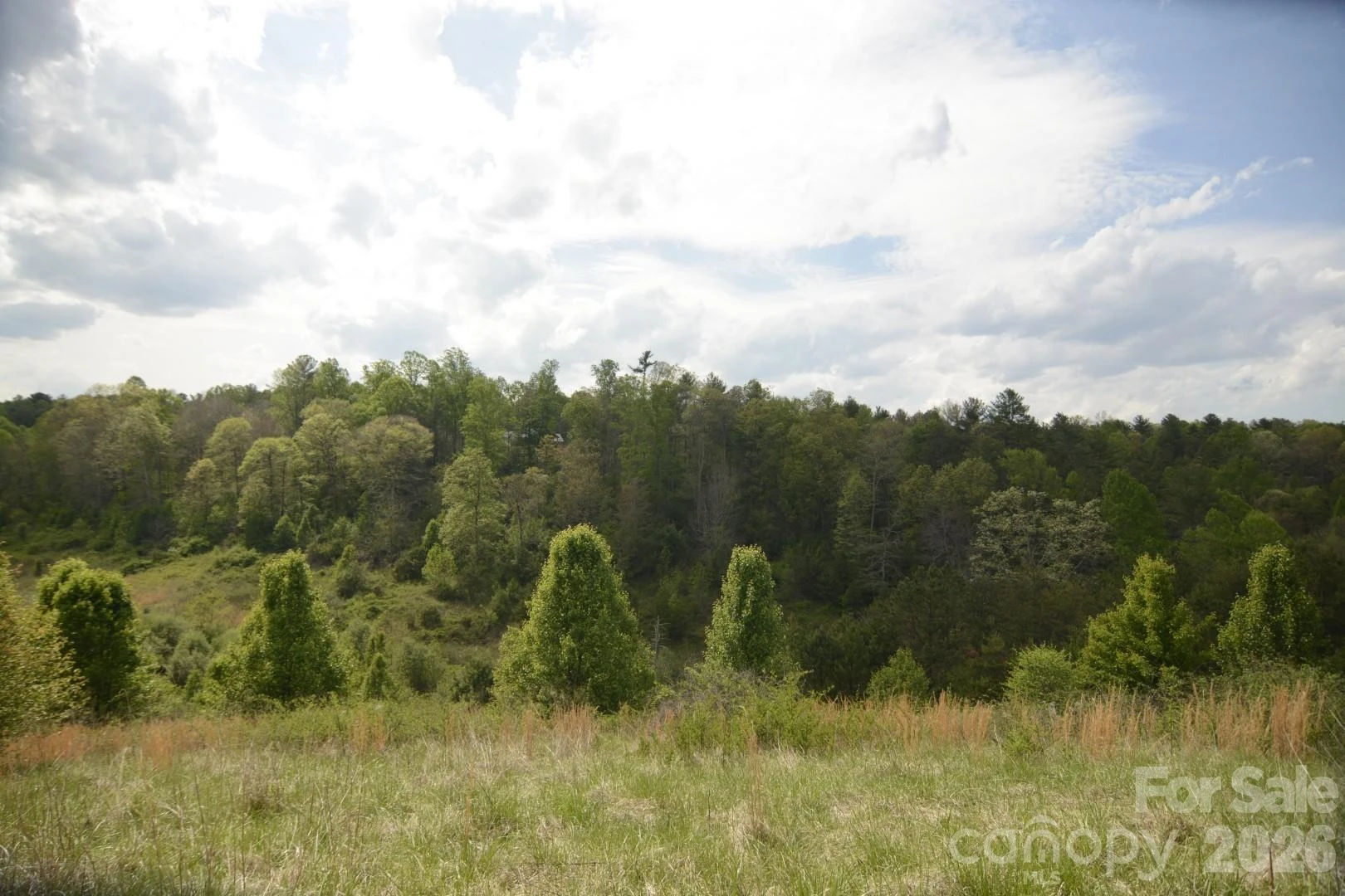 16 Rocking Chair Lane - Photo 27