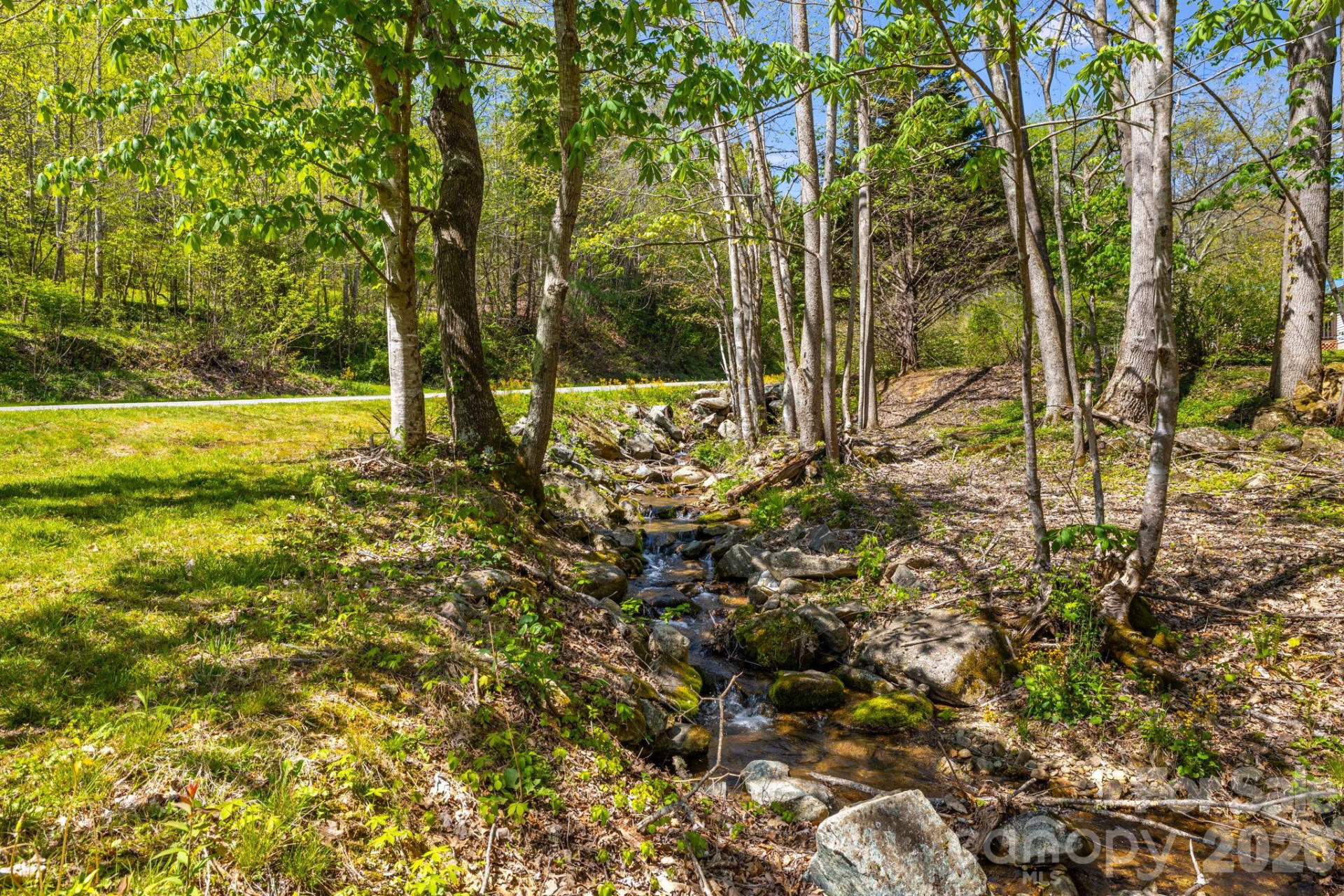 874 & 888 Bluff Mountain Road - Photo 2