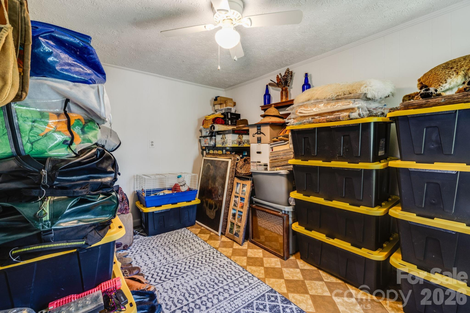 874 & 888 Bluff Mountain Road - Photo 43