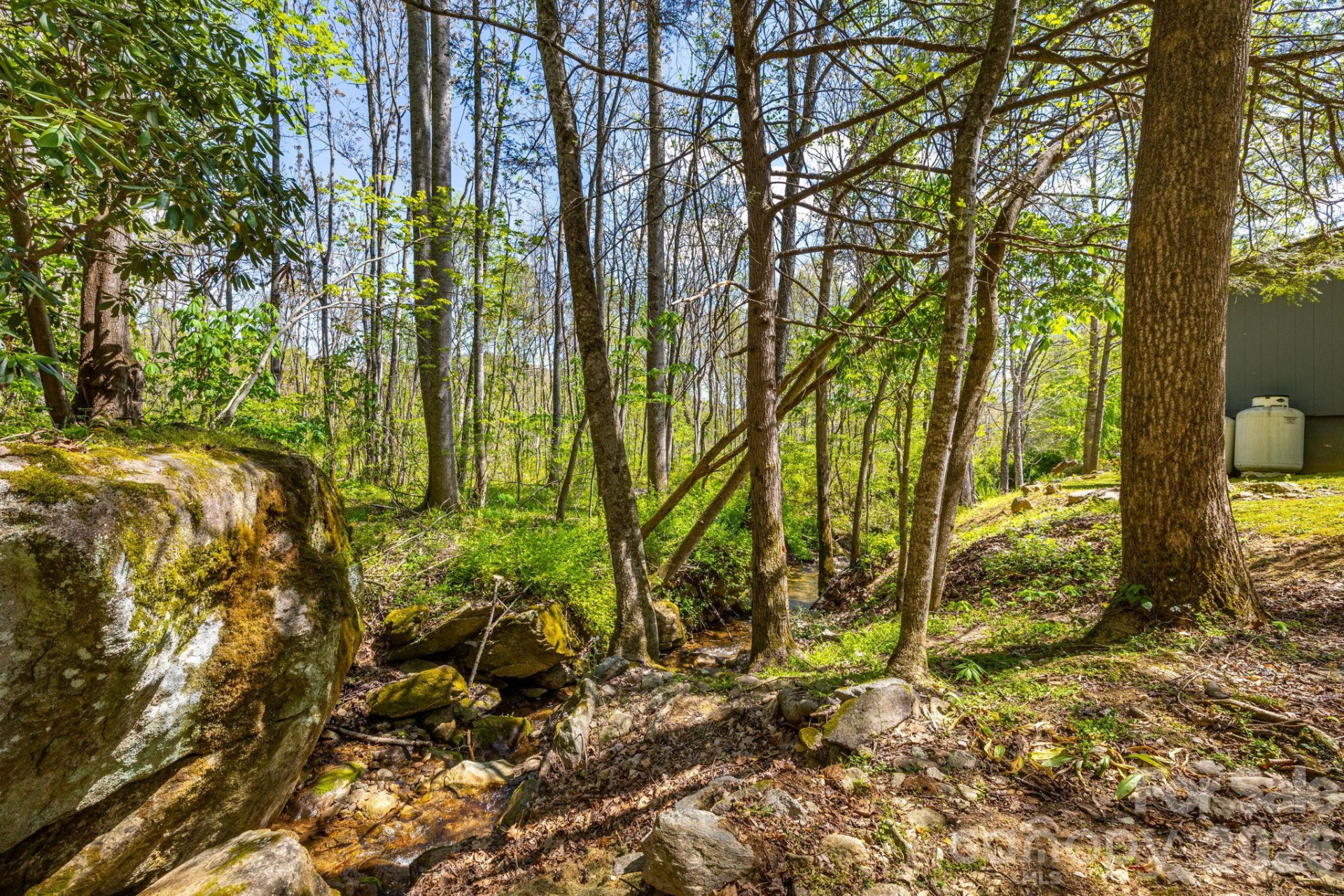 874 & 888 Bluff Mountain Road - Photo 44