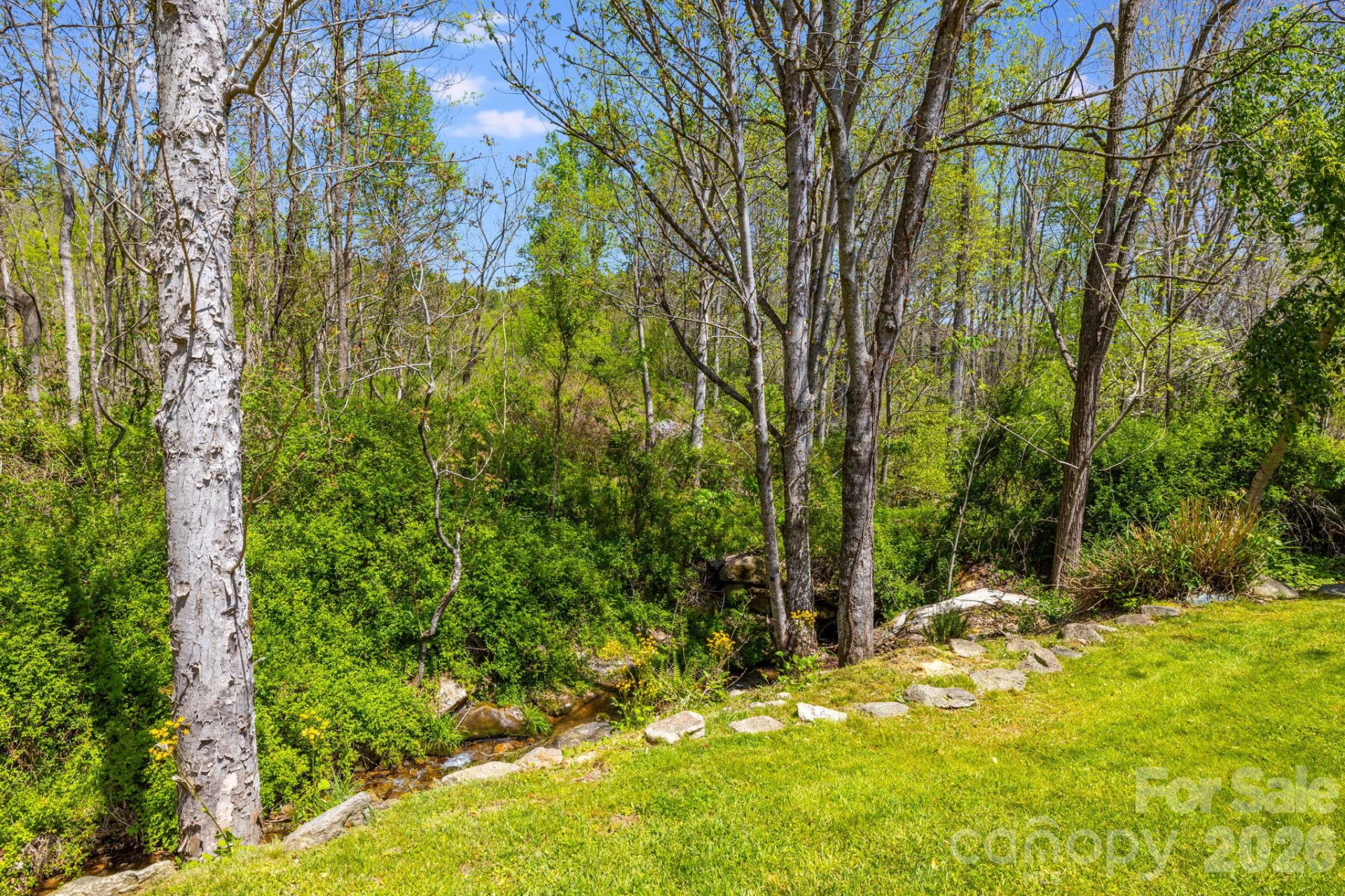 874 & 888 Bluff Mountain Road - Photo 45