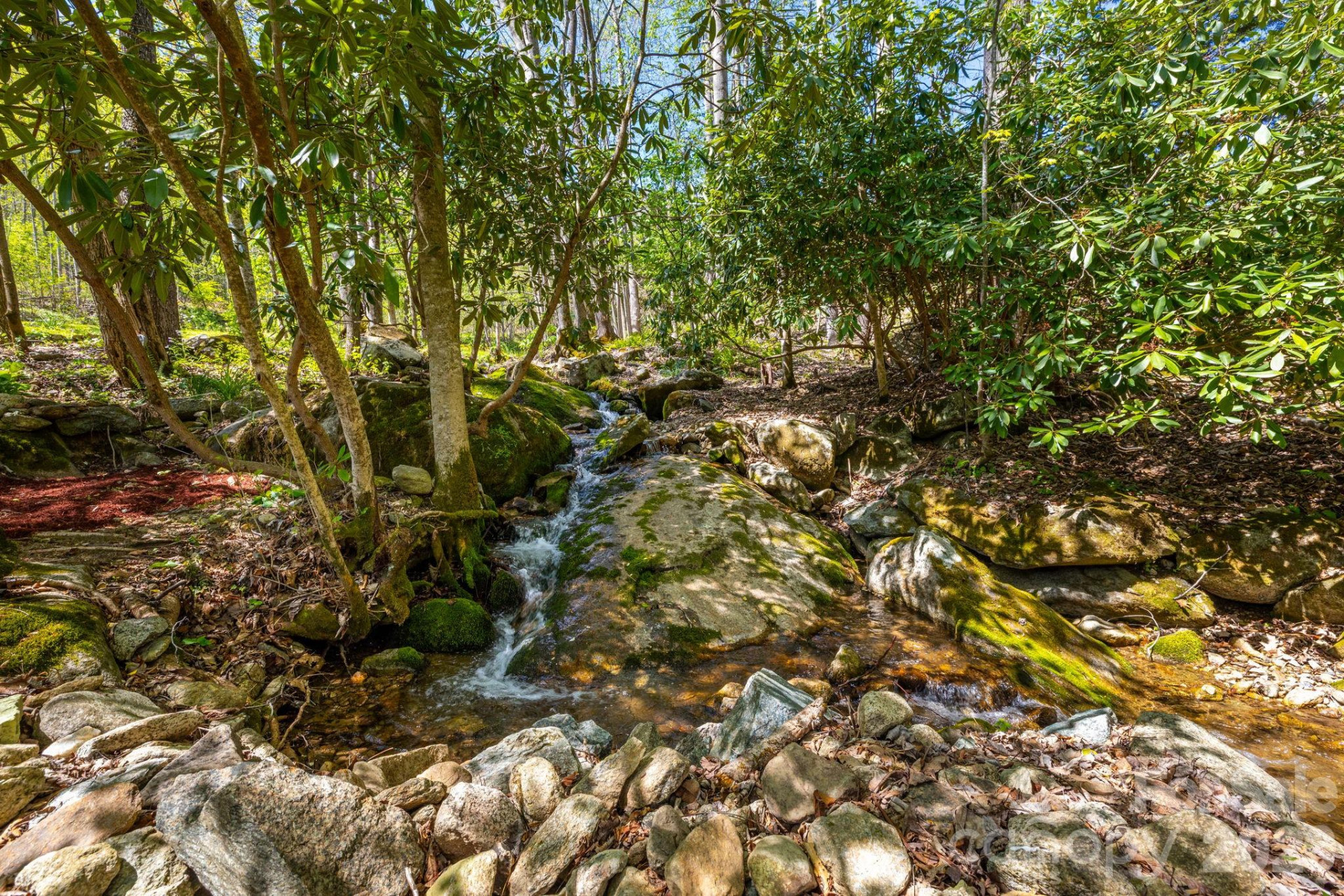 874 & 888 Bluff Mountain Road - Photo 47