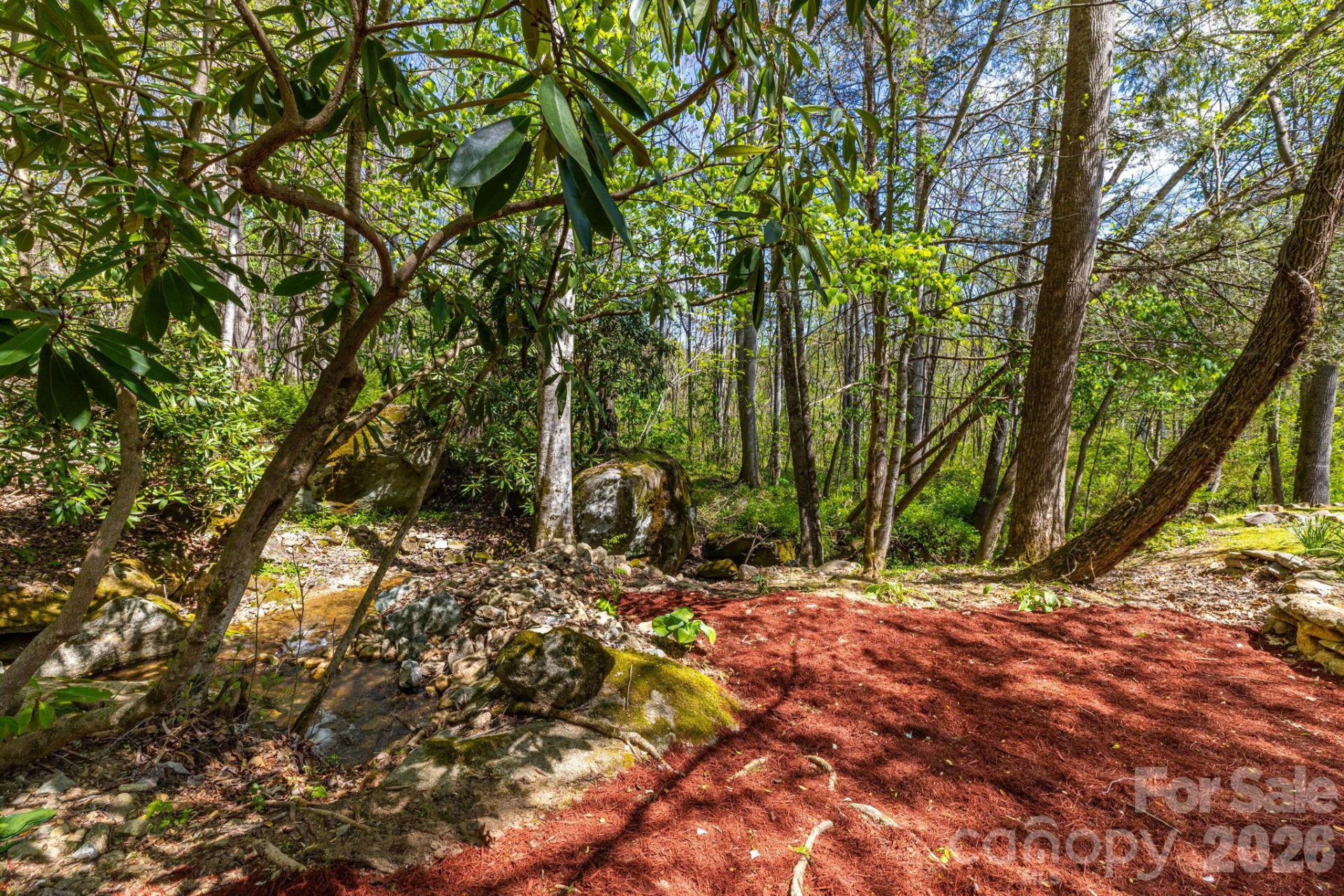 874 & 888 Bluff Mountain Road - Photo 48