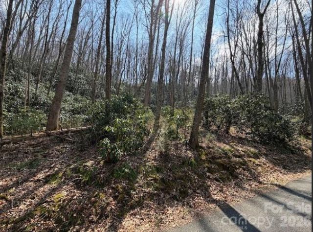 TBD Coyote Hollow Road, Waynesville, NC, 28785