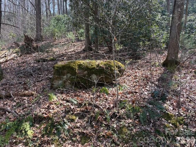 TBD Coyote Hollow Road #66 - Photo 3