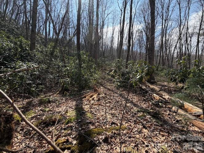 TBD Coyote Hollow Road #66 - Photo 4