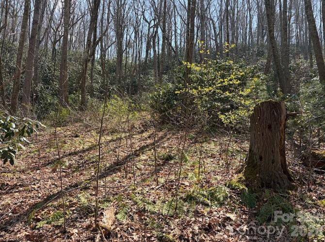 TBD Coyote Hollow Road #66 - Photo 5