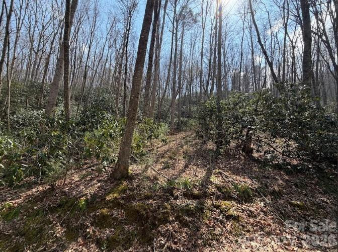 TBD Coyote Hollow Road #66 - Photo 6