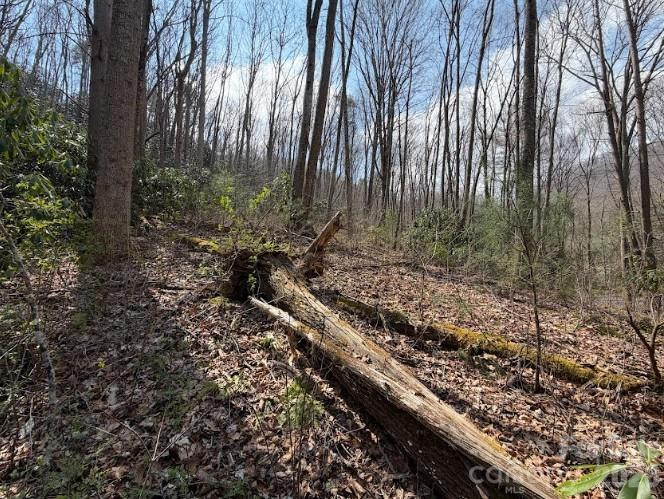 TBD Coyote Hollow Road #66 - Photo 7