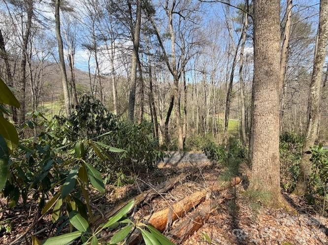 TBD Coyote Hollow Road #66 - Photo 9