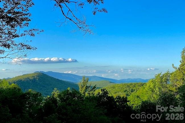 7109 Grandview Extension - Photo 2