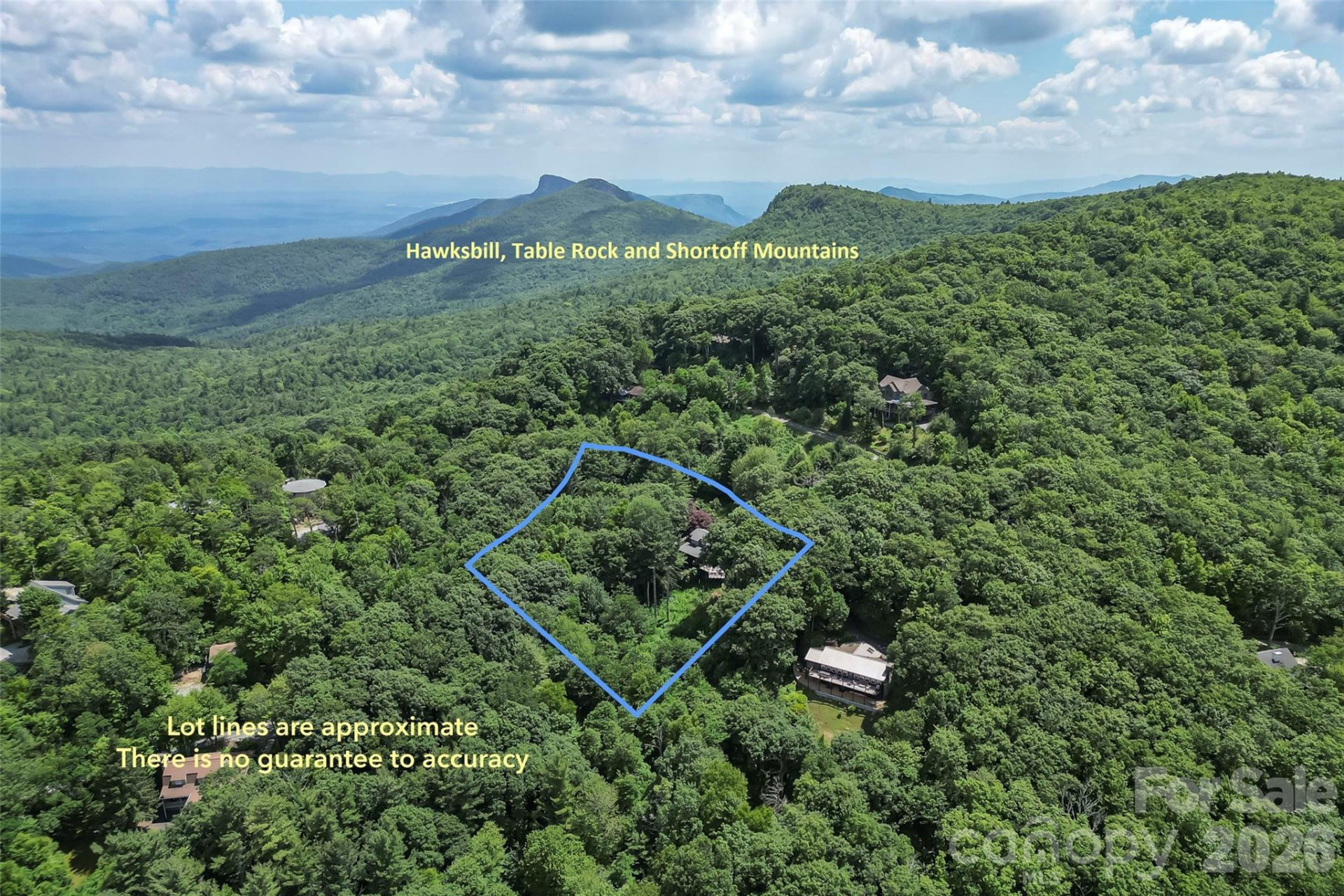 7109 Grandview Extension - Photo 3