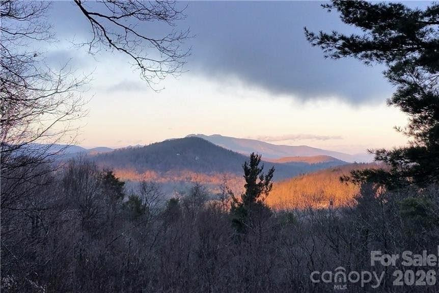 7109 Grandview Extension - Photo 5