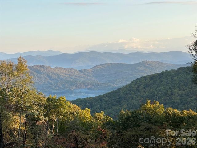 TBD Garden Trail, Hendersonville, NC, 28792