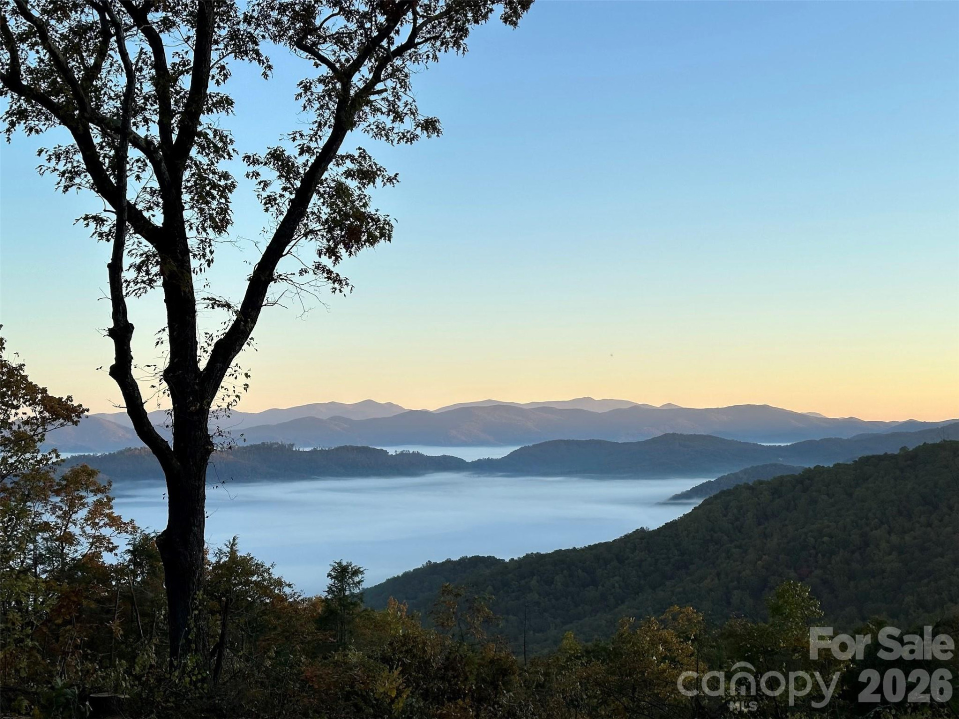 TBD Garden Trail #57 - Photo 2