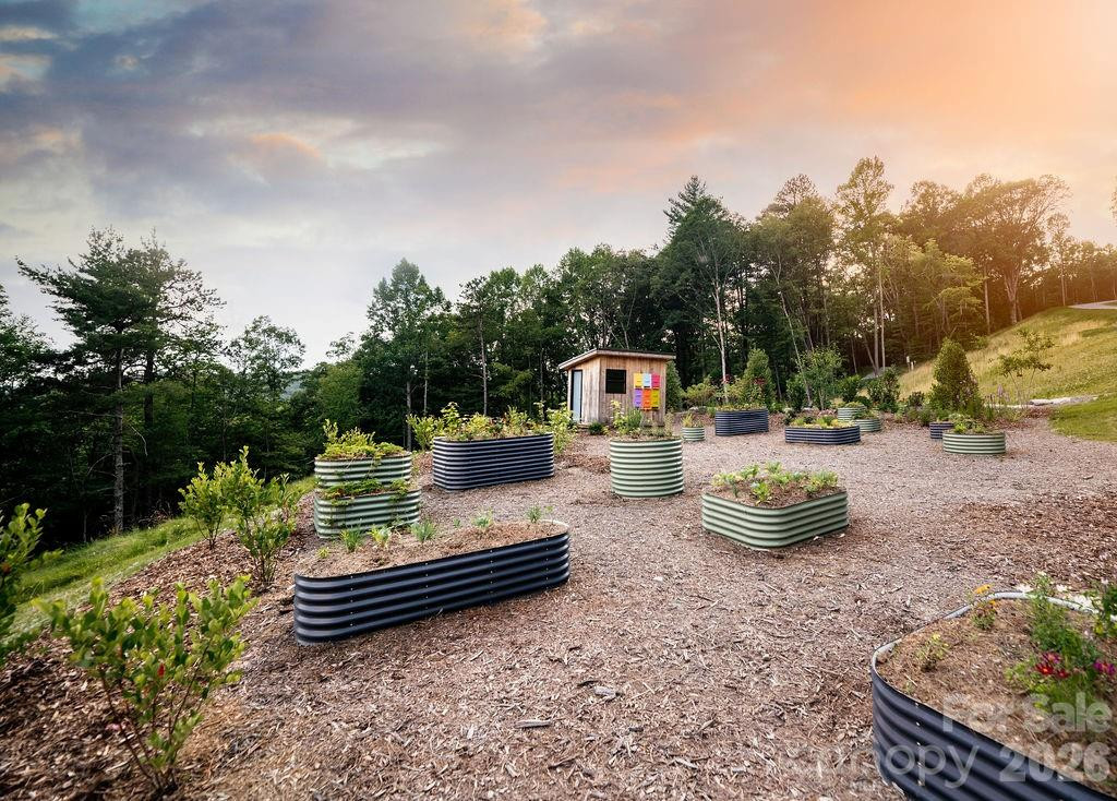 TBD Garden Trail #57 - Photo 3