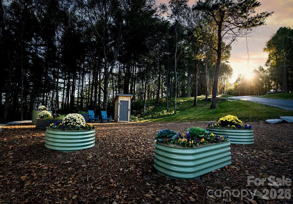 TBD Garden Trail #57 - Photo 5