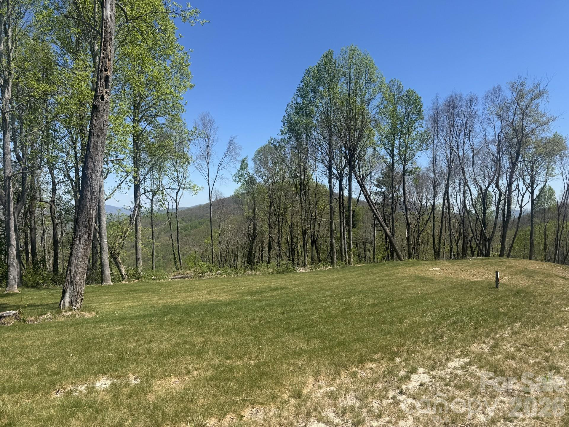 TBD Garden Trail #57 - Photo 7