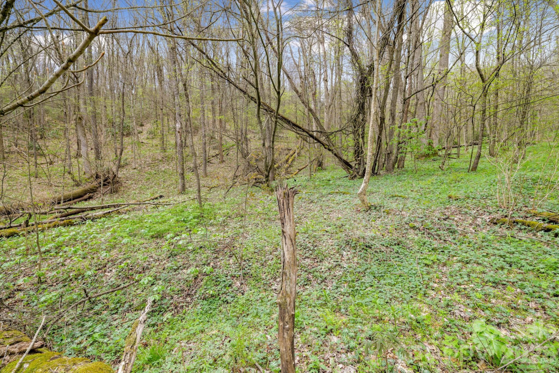 00 Bear Hollow Road #40 - Photo 11