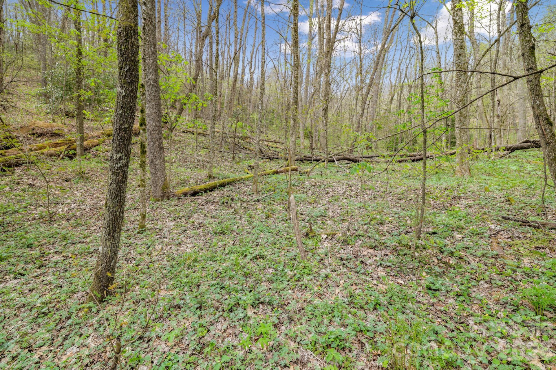 00 Bear Hollow Road #40 - Photo 13