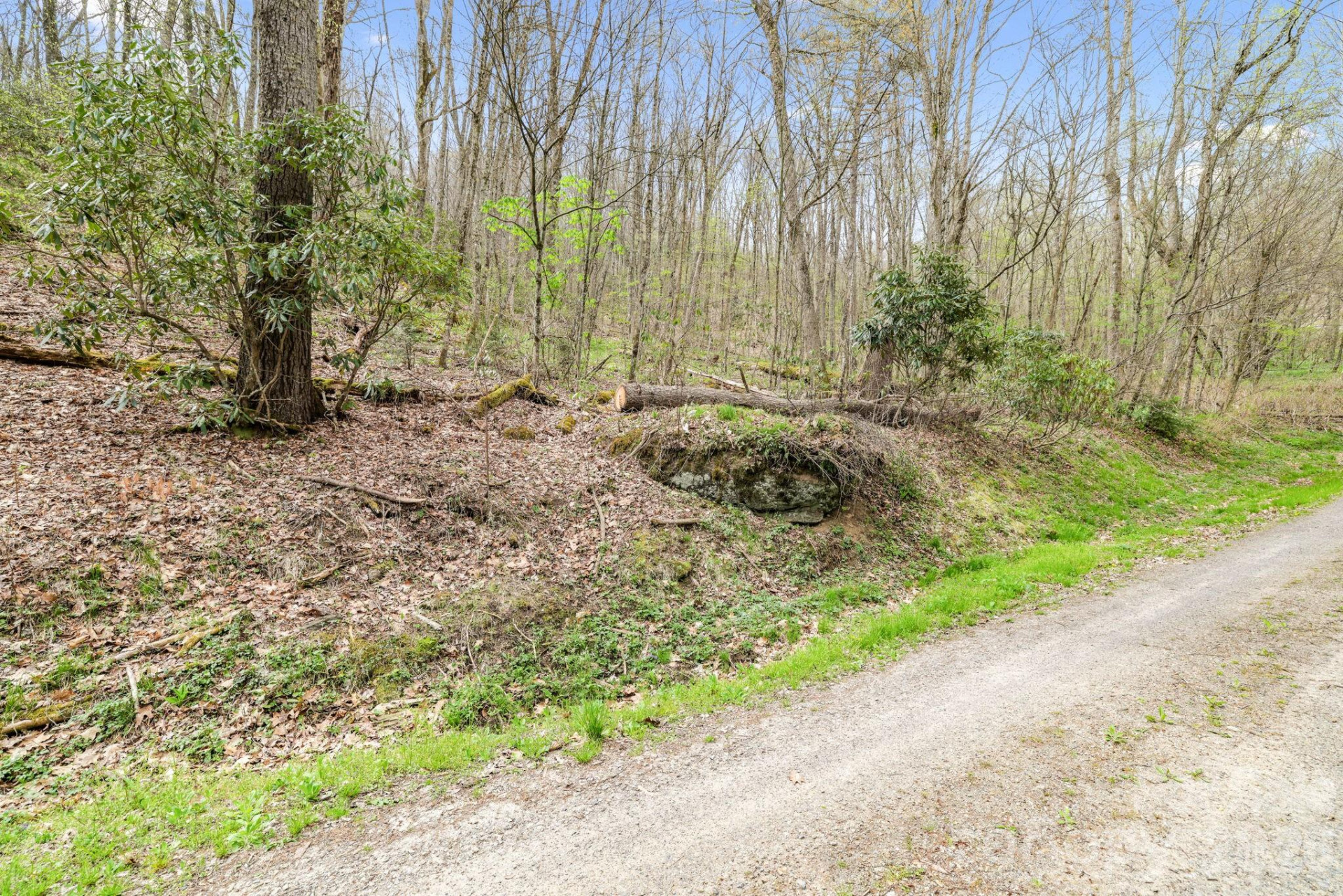 00 Bear Hollow Road #40 - Photo 14