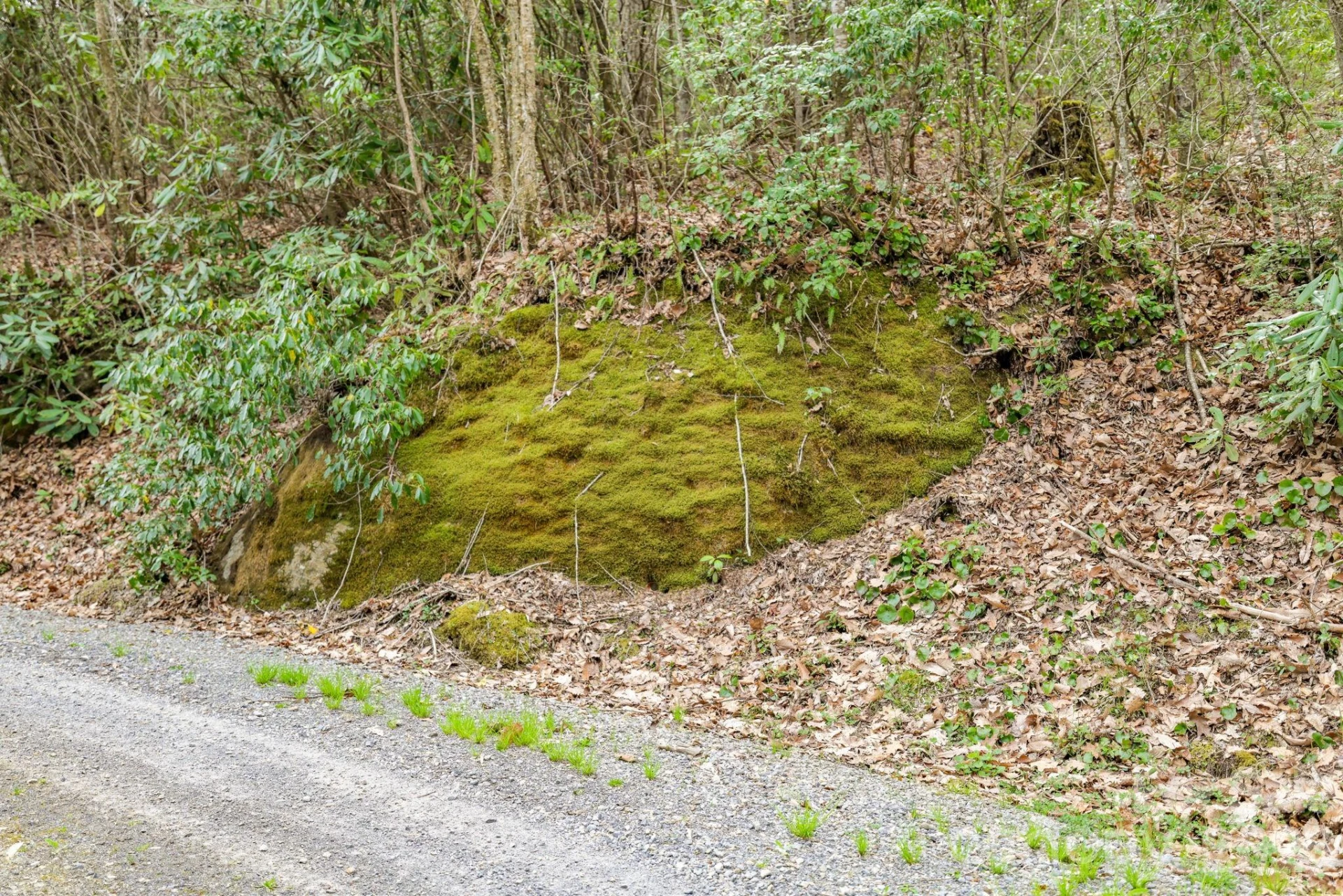 00 Bear Hollow Road #40 - Photo 15