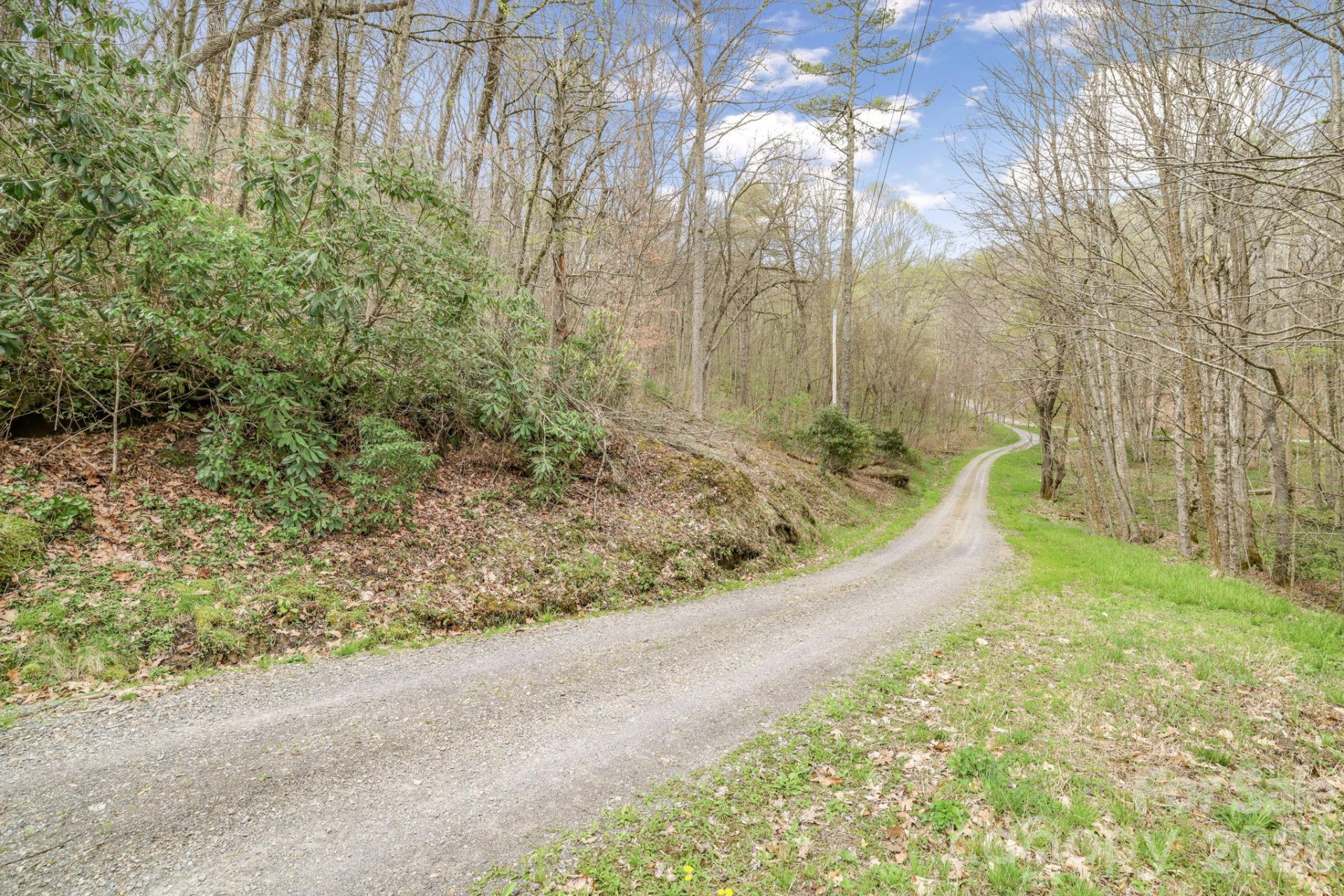 00 Bear Hollow Road #40 - Photo 16