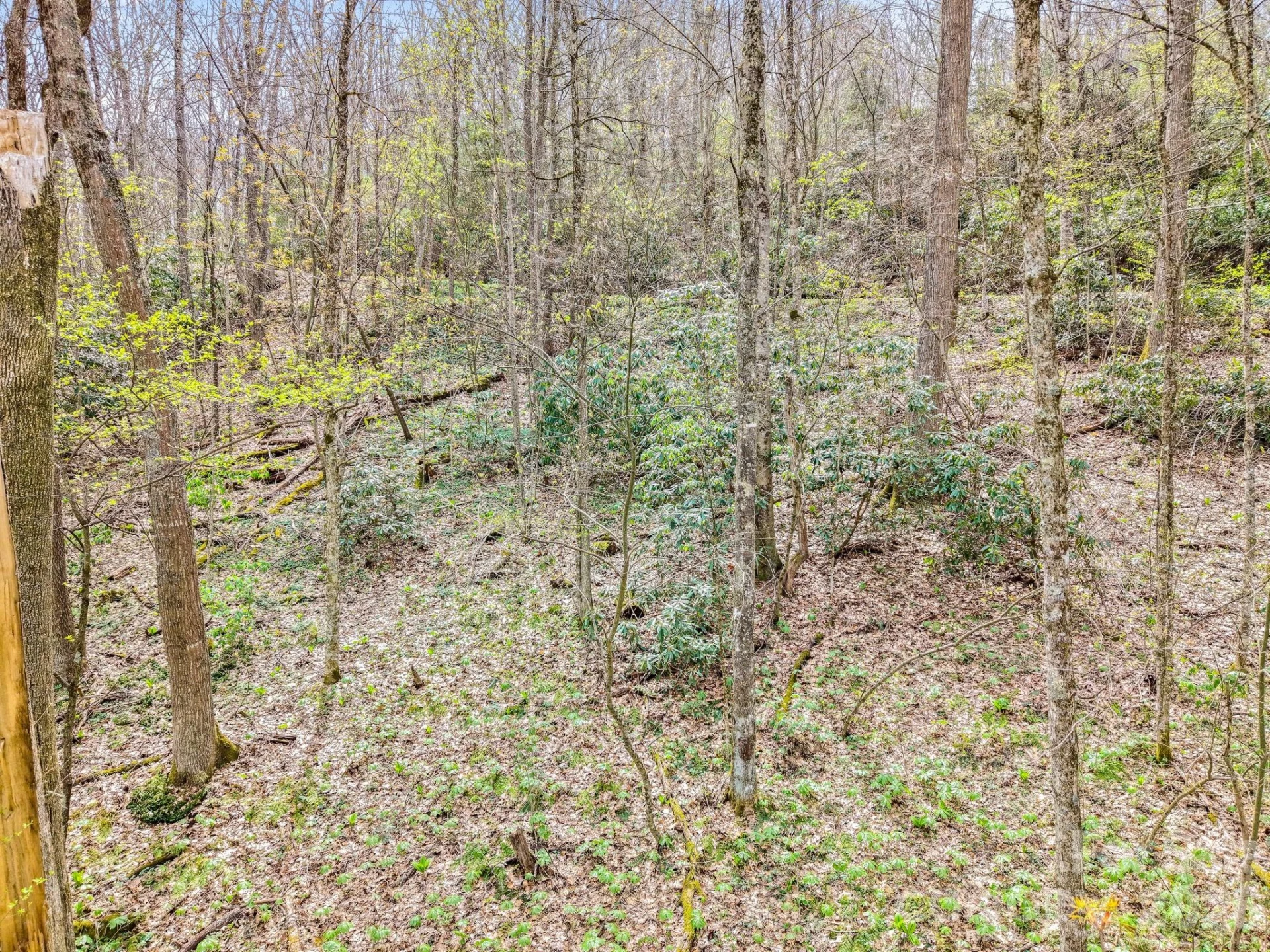 00 Bear Hollow Road #40 - Photo 4