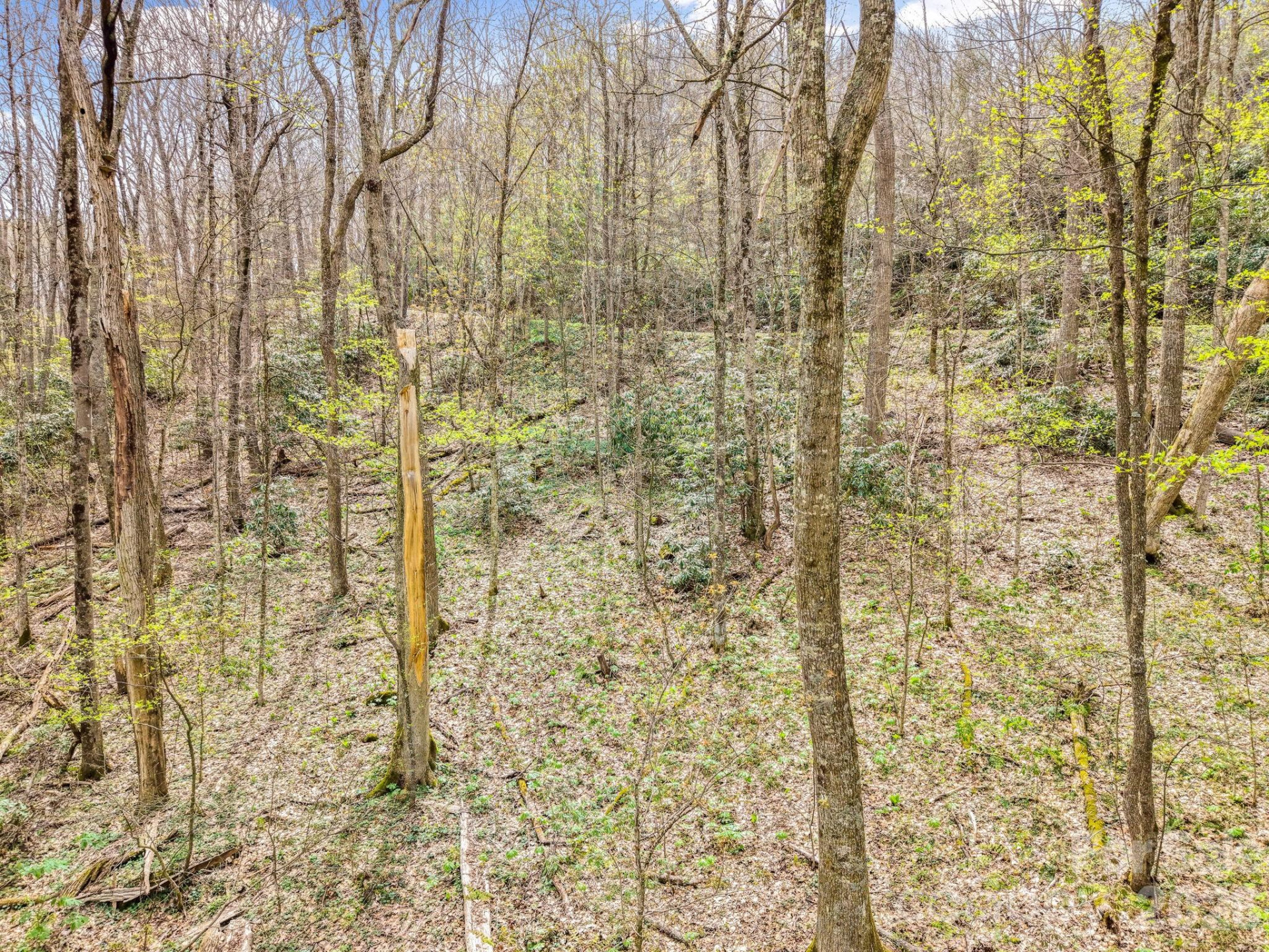 00 Bear Hollow Road #40 - Photo 5