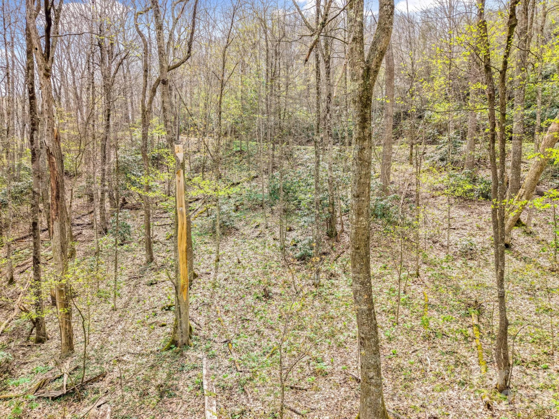 00 Bear Hollow Road #40 - Photo 5