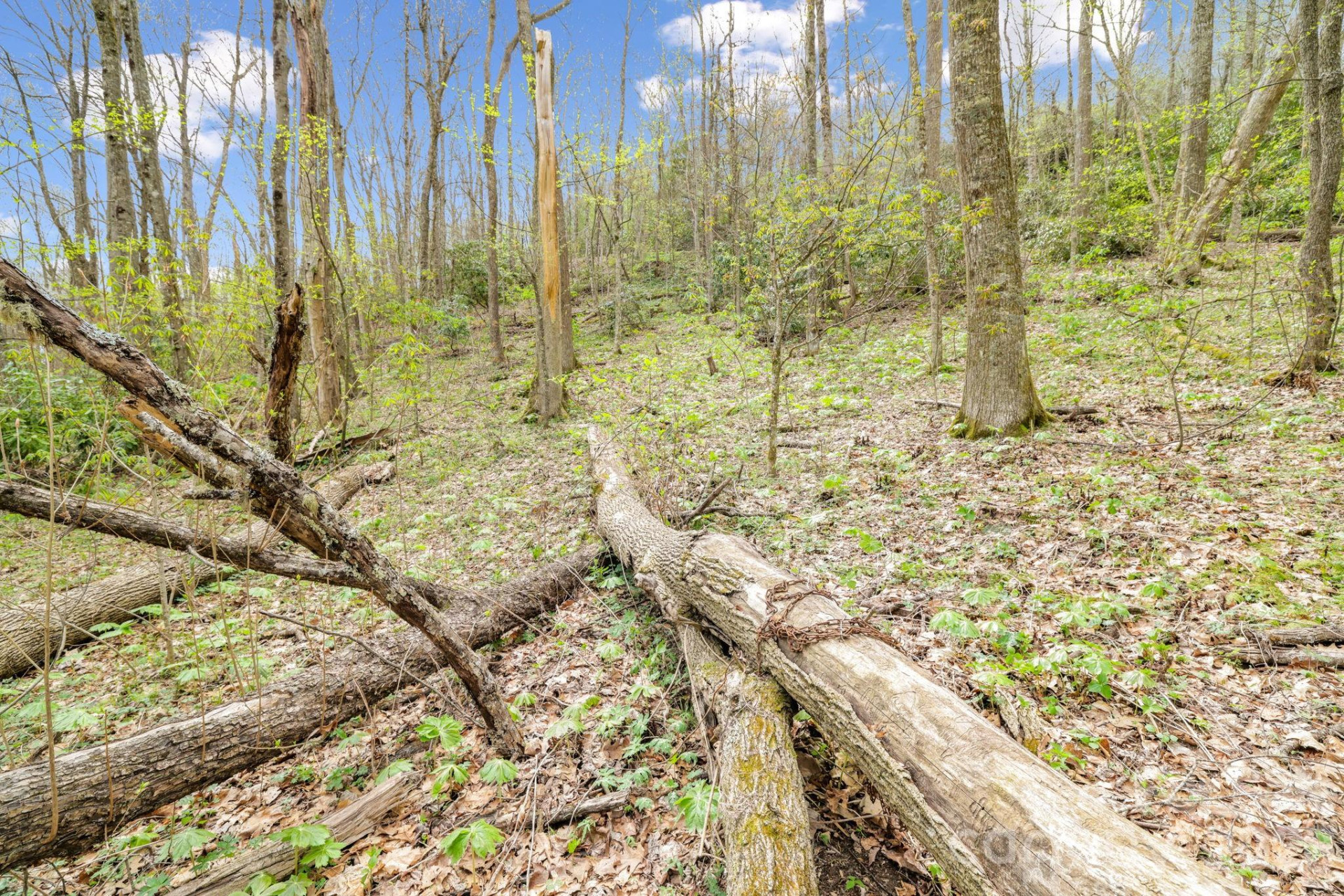 00 Bear Hollow Road #40 - Photo 7