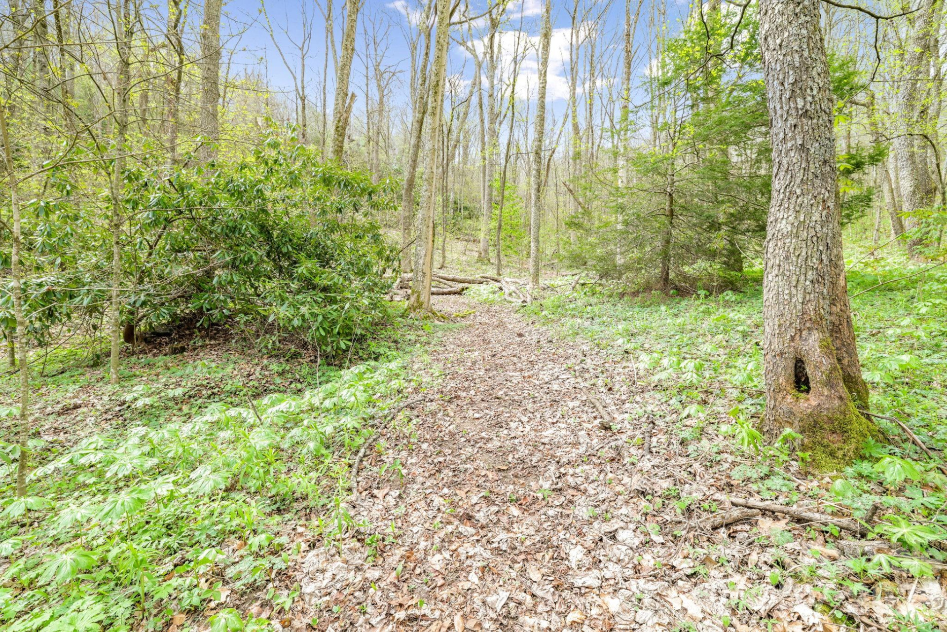 00 Bear Hollow Road #40 - Photo 8