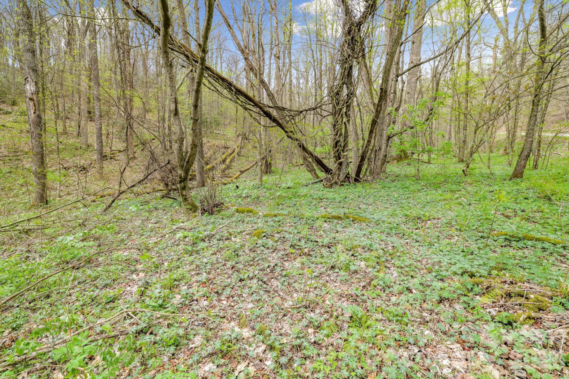 00 Bear Hollow Road #40 - Photo 9