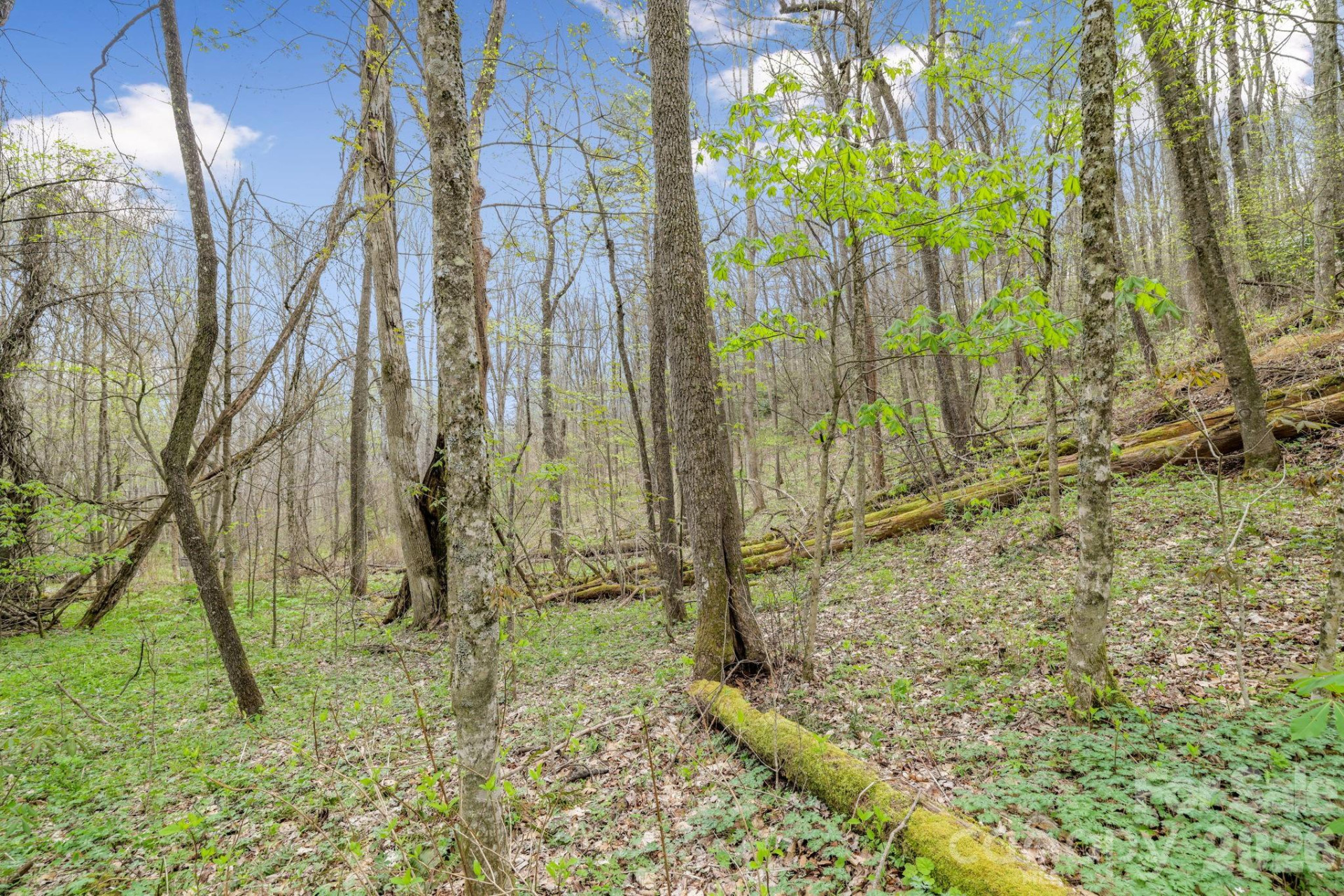 00 Bear Hollow Road #40 - Photo 10