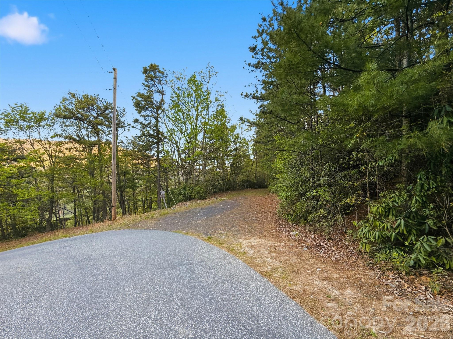 TBD Linville Drive #69 - Photo 14