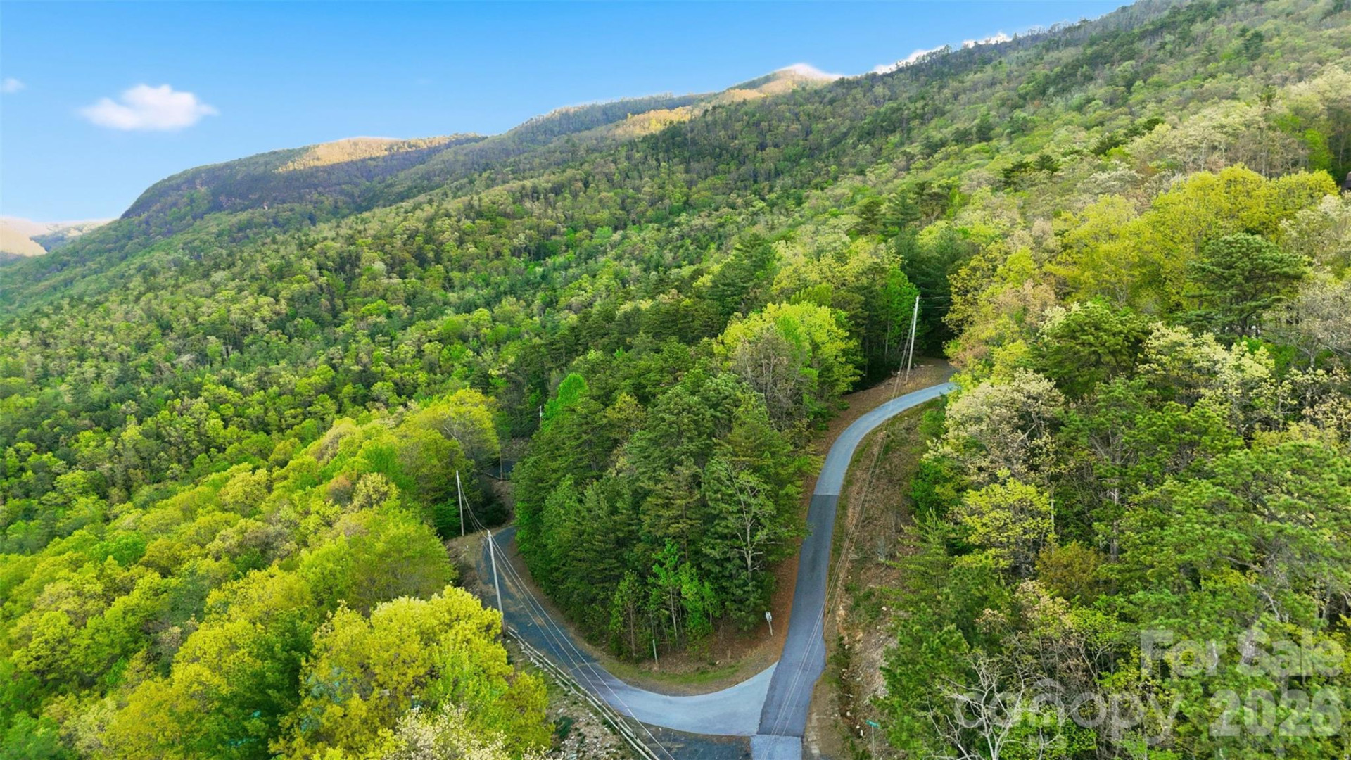 TBD Linville Drive #69 - Photo 9