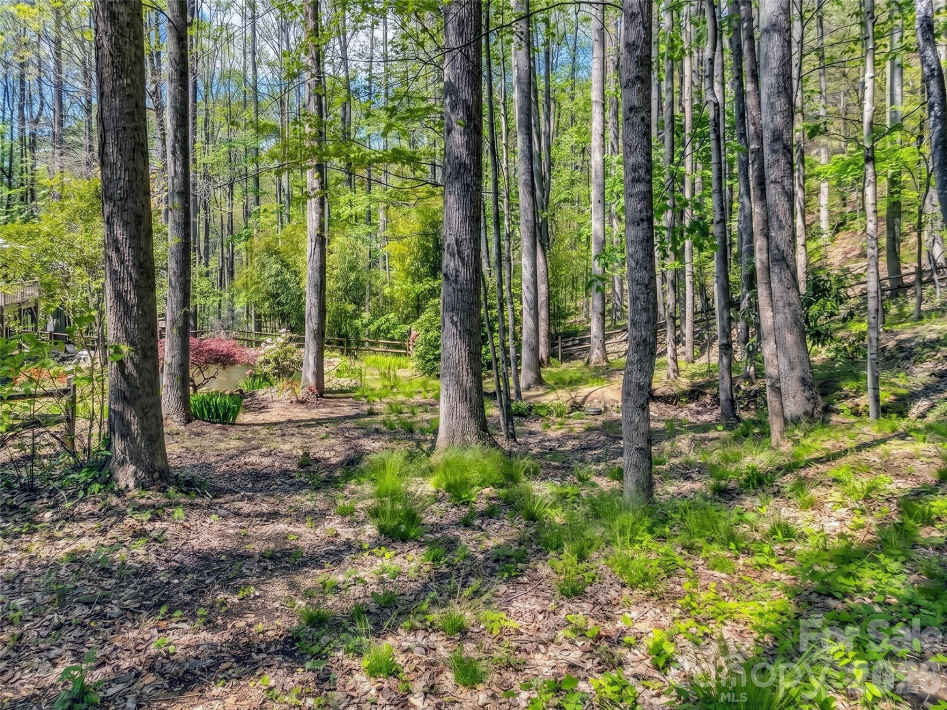 211 Rustic Road - Photo 41