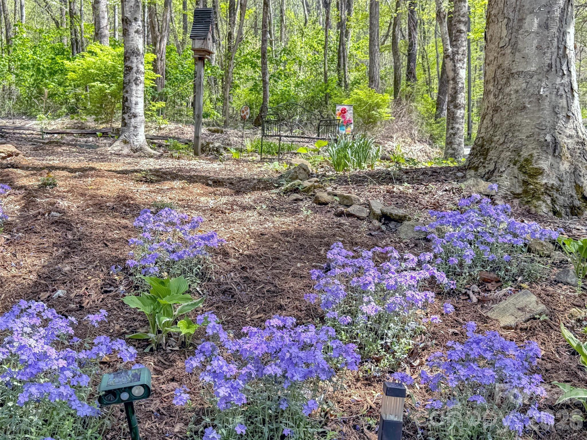 211 Rustic Road - Photo 42