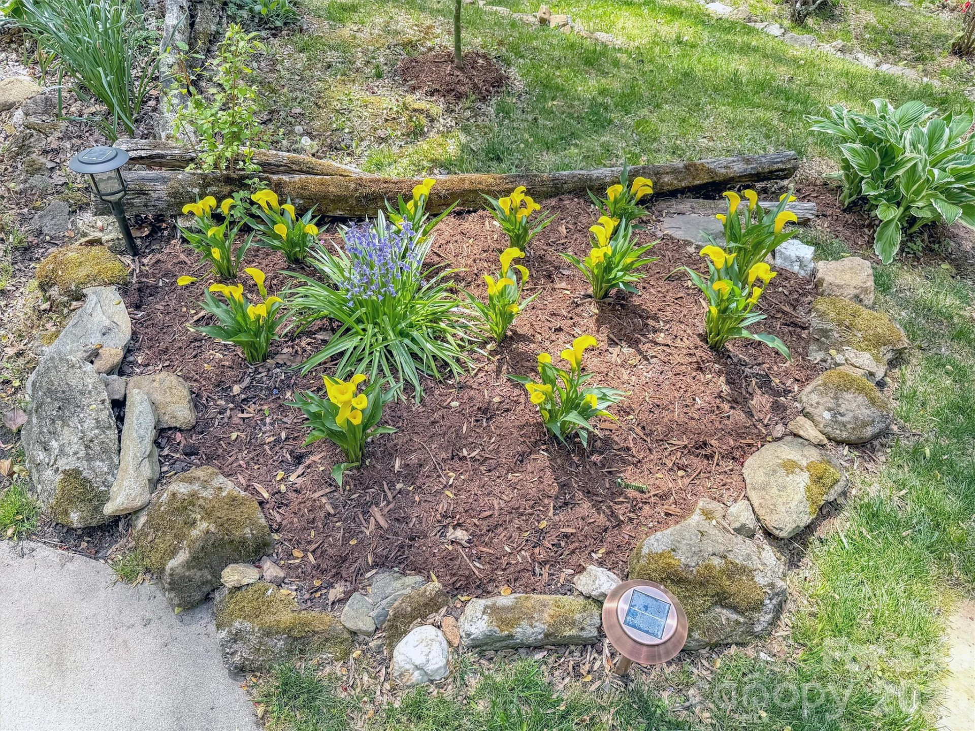 211 Rustic Road - Photo 43