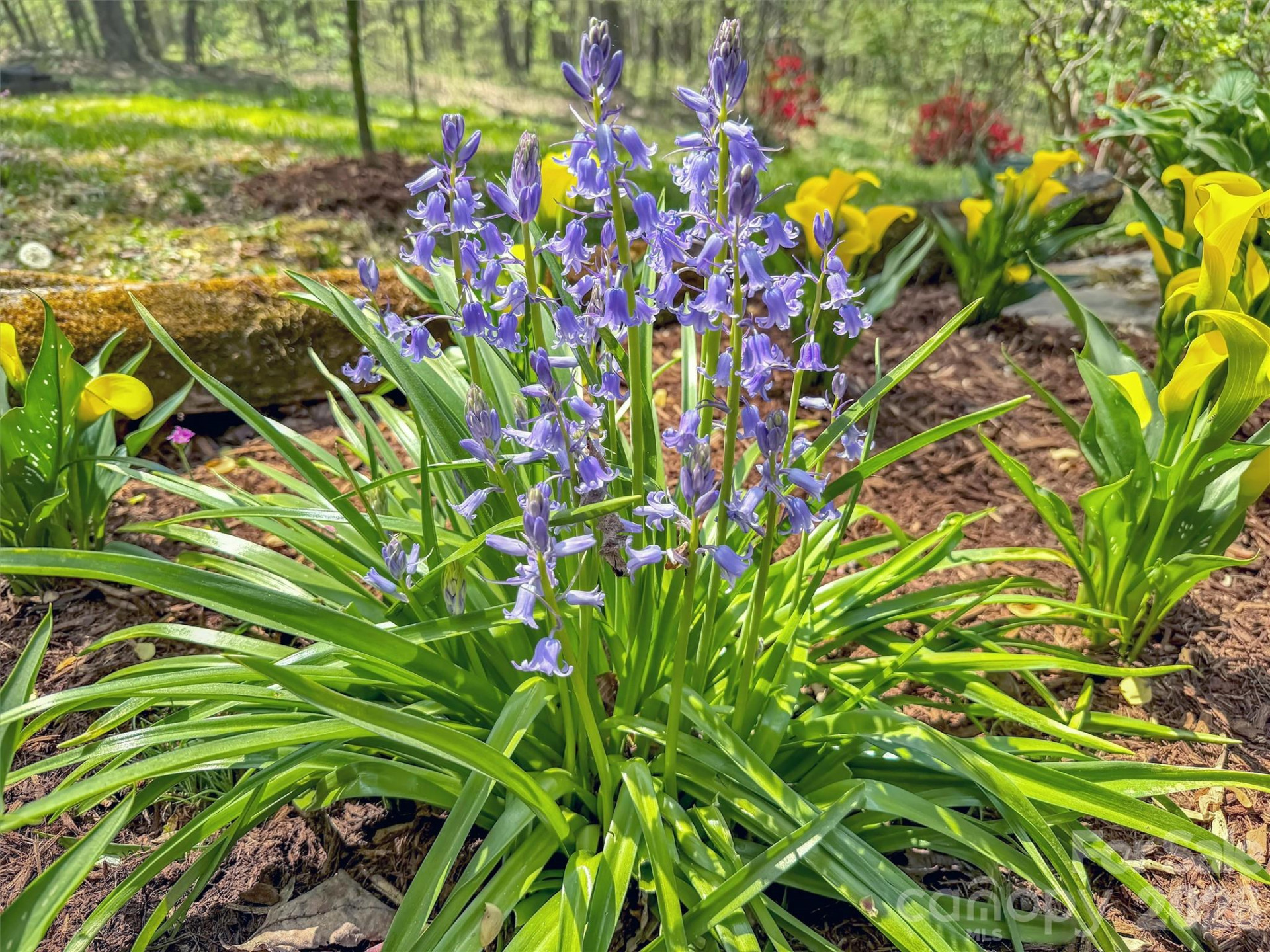 211 Rustic Road - Photo 44