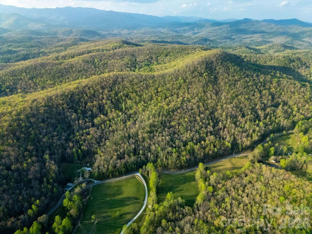 Off Diamond Creek Road - Photo 2