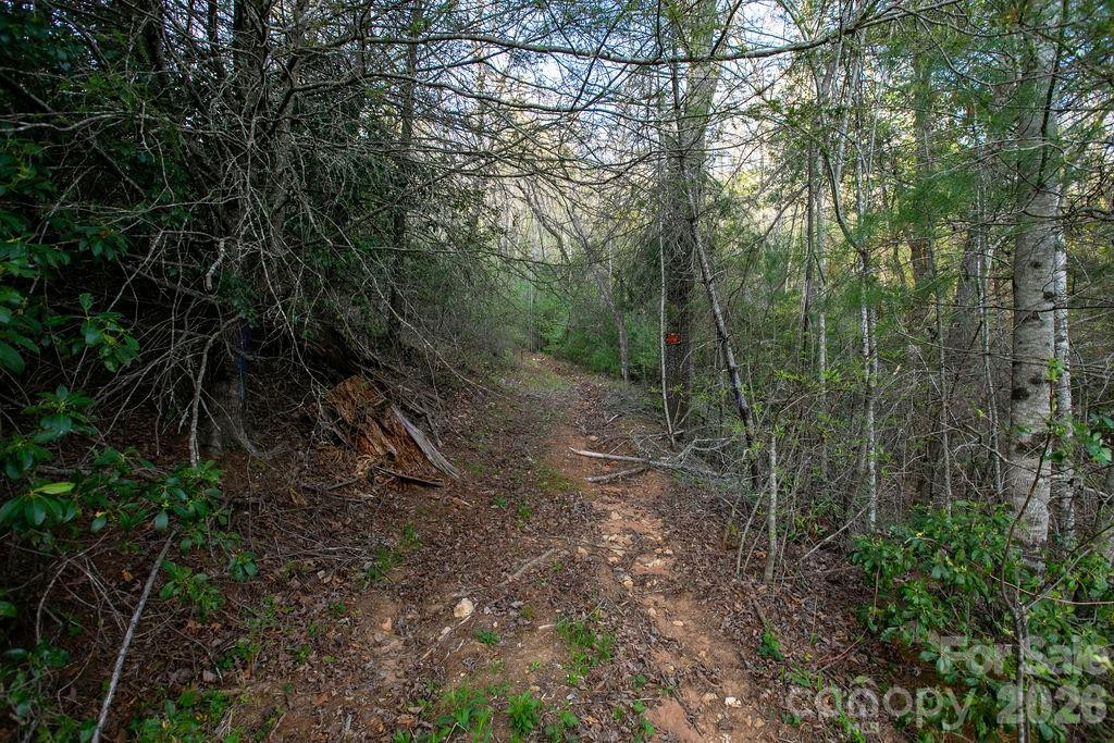 Off Diamond Creek Road - Photo 12